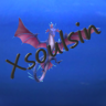 Xsoulsin